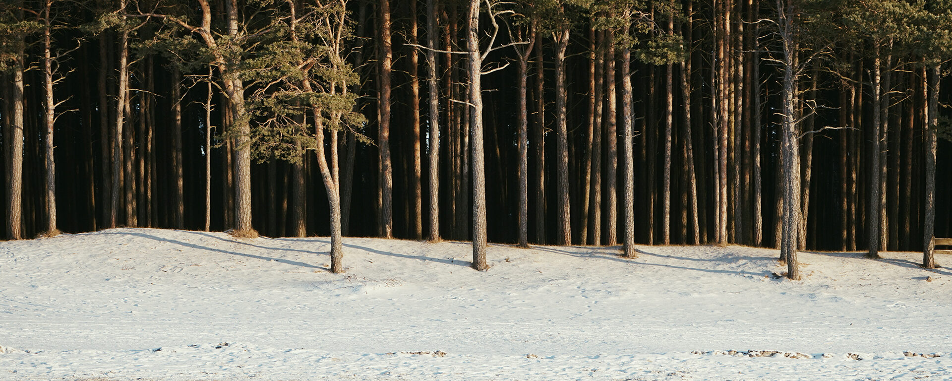 Linn pulbitsegu elust – Äripäeva Sisustaja